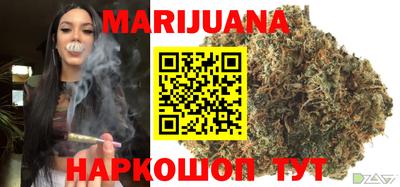 сатива Коммунар