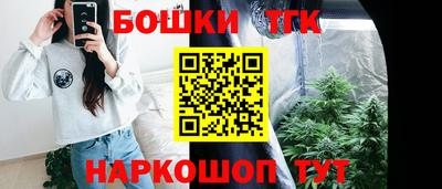 сатива Коммунар